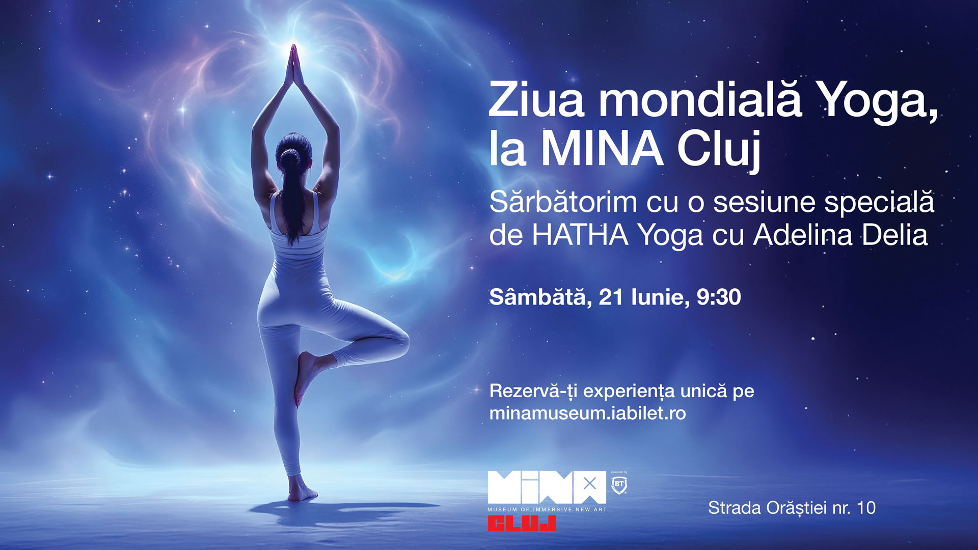 Immersive Hatha Yoga